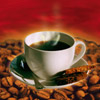 ABP Koffie Live!